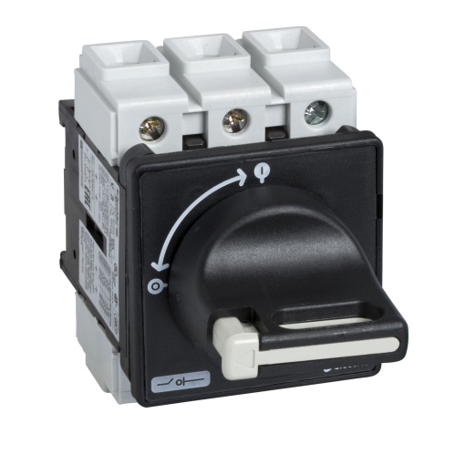 TeSys Vario - switch disconnector - 25 A - on door