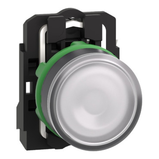 Branco   illuminated pushbutton spring return