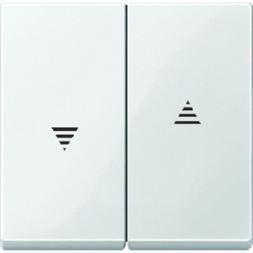 Tecla Merten System M, para interruptor de estores e botão de pressão, brilhante, branco polar
