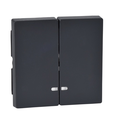 Rocker 2-gang with indicator window, anthracite, System M