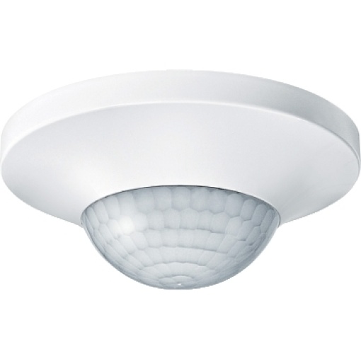 ARGUS Presence Master with IR, 1-10 V, polar white