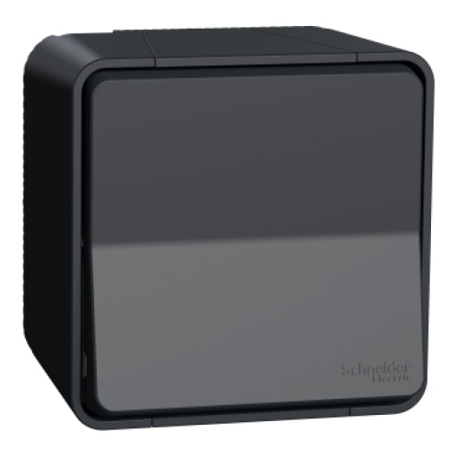 Inversor de grupo monobloco, Mureva Styl, saliente, IP55, 10A, Cinzento
