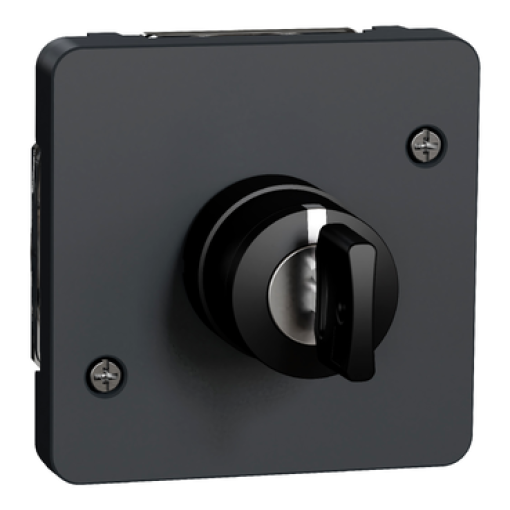 Mureva Styl - Interruptor chave 3 posições - encastrarsaliente - IP55 - 3A - Cinzento