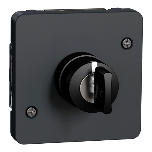 Mureva Styl - Interruptor chave 3 posições - encastrarsaliente - IP55 - 3A - Cinzento