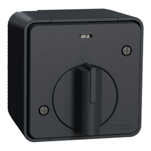 Mureva Styl - Interruptor temporizador mecânico monobloco - saliente - IP55 - 16A - Cinzento