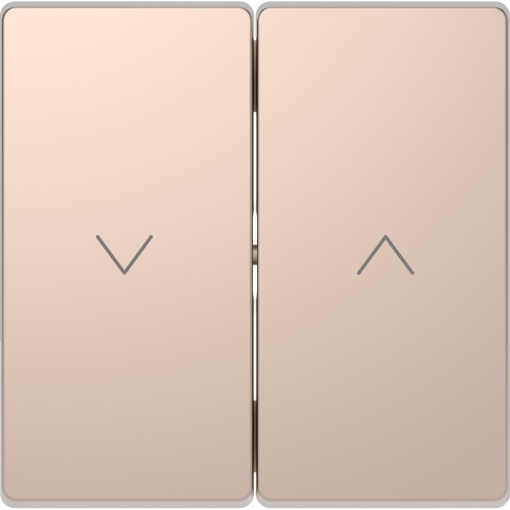 D-Life - Tecla para comandos de estores - Metal champanhe