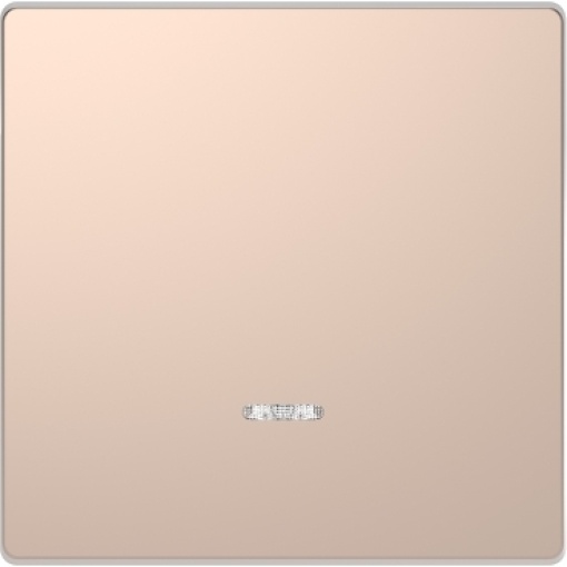 D-Life - Tecla com visor - Metal champanhe
