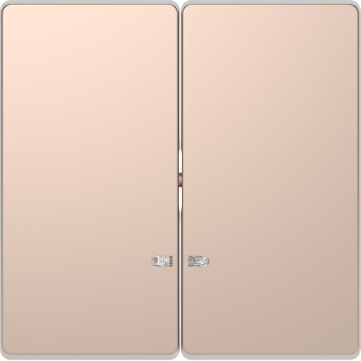 D-Life - Tecla dupla com visor - Metal champanhe