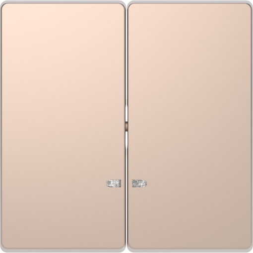 D-Life - Tecla dupla com visor - Metal champanhe