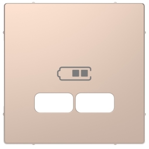 D-Life - Centro de tomada para carregador USB - Metal champanhe
