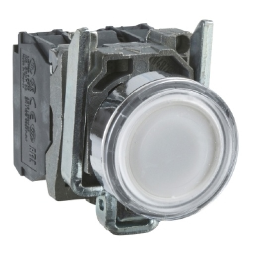 Illuminated pushbutton