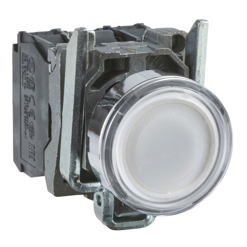 Illuminated pushbutton