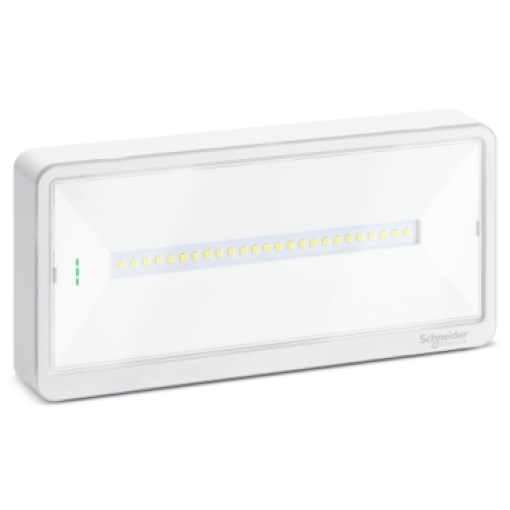 Emergency luminaire, Exiway Light, autotest, selectable duration, up to 500 lm, IP65, LED