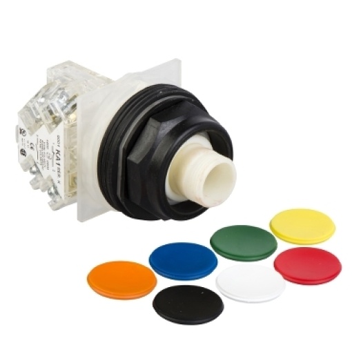 PUSHBUTTON 600VAC 10AMP 30MM SK OPTIONS