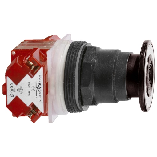 PUSHBUTTON 600VAC 10AMP 30MM SK OPTIONS
