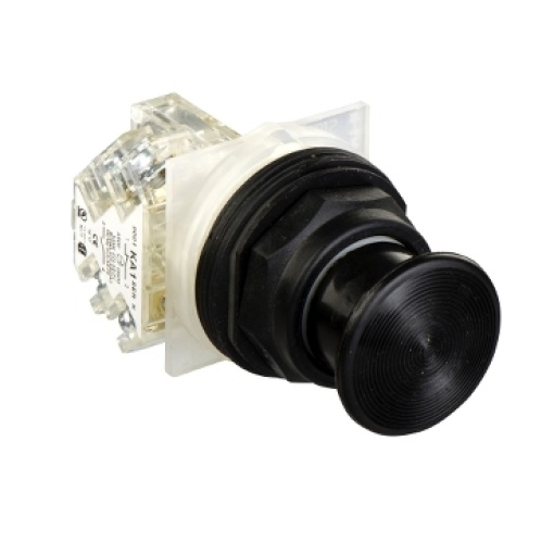 PUSHBUTTON 600VAC 10AMP 30MM SK OPTIONS