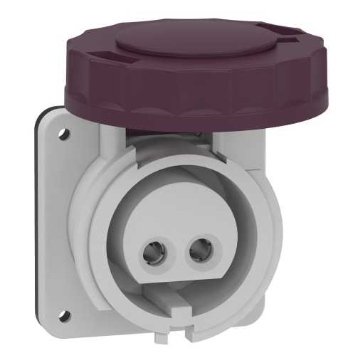 PratiKa industrial socket - 16 A - 2P - 20...25 V AC - IP67