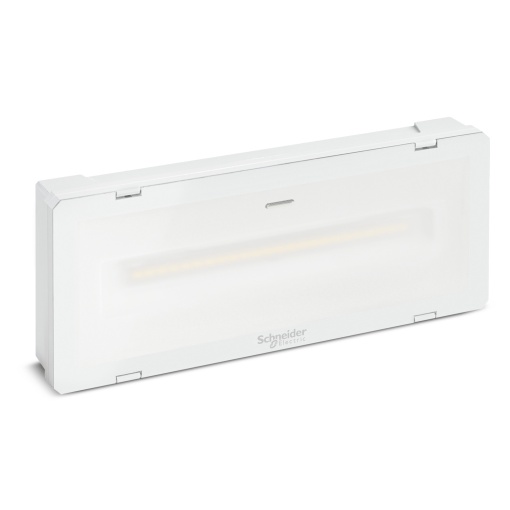 Exiway Smartled - emergency light - CBS - LED - 1000 lm - 216VDC 230 IP55