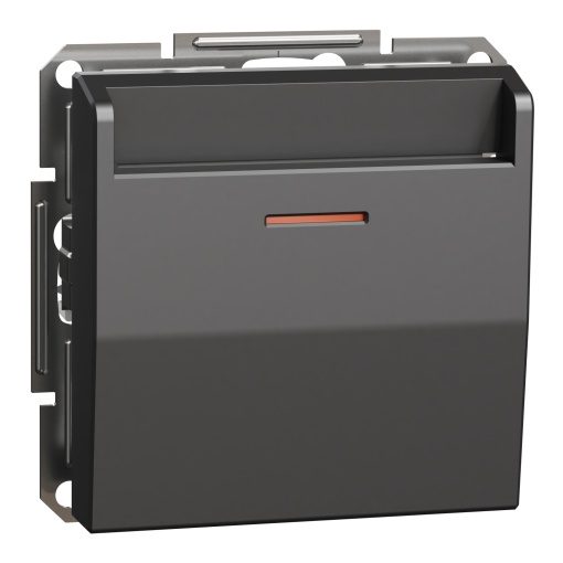 Asfora - Interruptor de cartão - Antracite