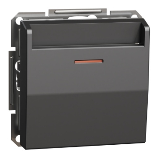 Asfora - Interruptor de cartão - Antracite