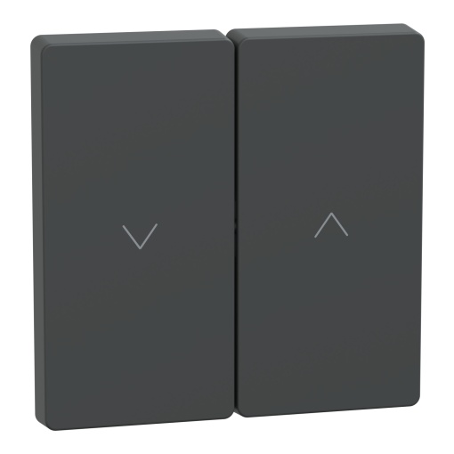 Tecla, D-Life, para interruptor e botão de estores, antracite