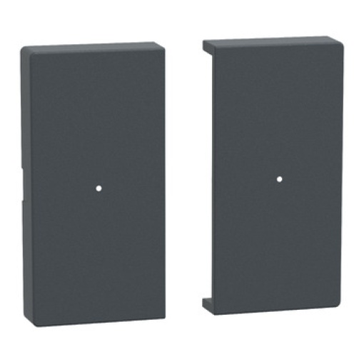 System M, tecla para módulo de botão de pressão de 2 elementos, antracite