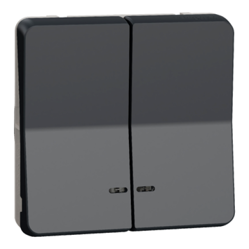 Mureva Styl - Botão de pressão duplo - encastrarsaliente - luminoso - IP55 - 16A - Cinzento