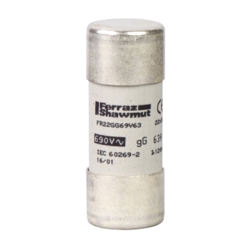 TeSys porta-fusível - cartucho fusível 22 x 58 mm gG 80 A - s indicação