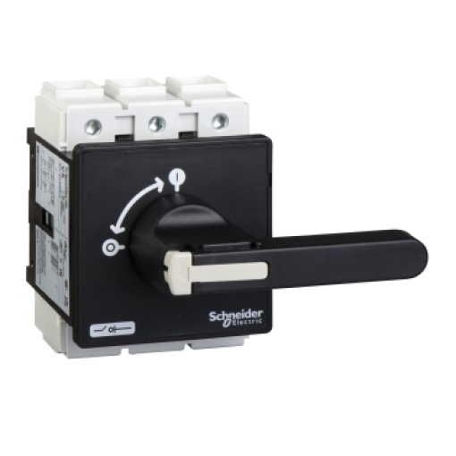 TeSys Vario - switch disconnector - 125 A - on door