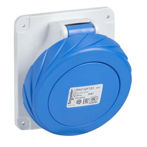 PratiKa industrial socket - 125 A - 2P  E - 200...250 V AC - IP67