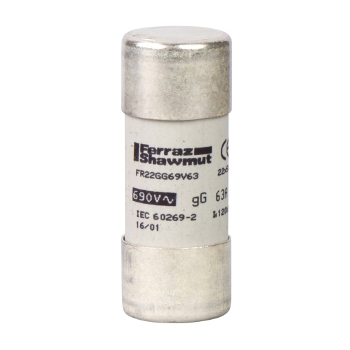 TeSys porta-fusível - cartucho fusível 22 x 58 mm gG 40 A - s indicação