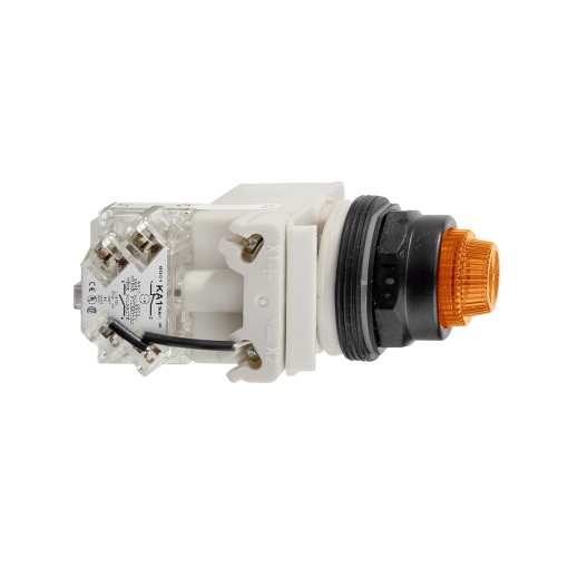 PILOT LIGHT 120V 30MM SK OPTIONS