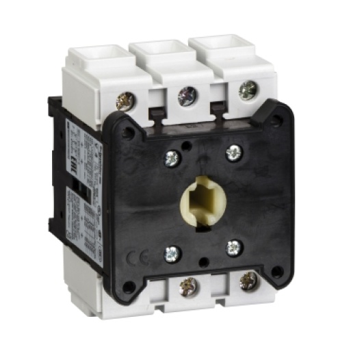 Interruptor seccionador 3P 80A