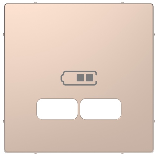 D-Life - Centro de tomada para carregador USB - Metal champanhe