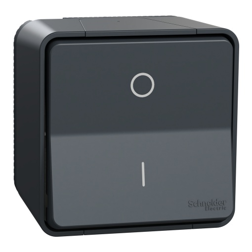 Interruptor bipolar monobloco, Mureva Styl, saliente, IP55, 10A, Cinzento