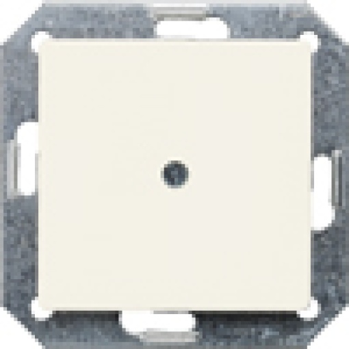 DELTA isystem blanking cover plate titanium white