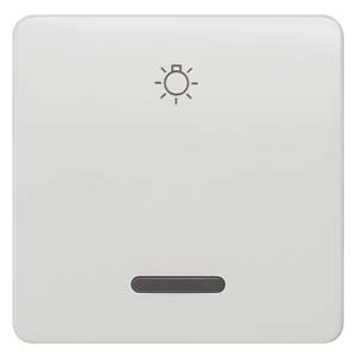DELTA profil rocker with window and light symbol titanium white
