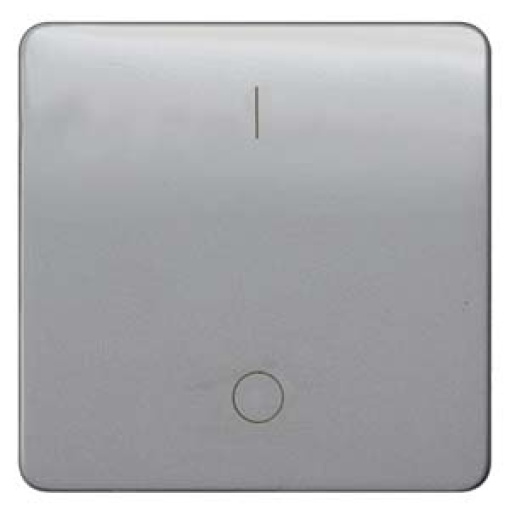 DELTA profil rocker with IO symbols for OFF switch silver