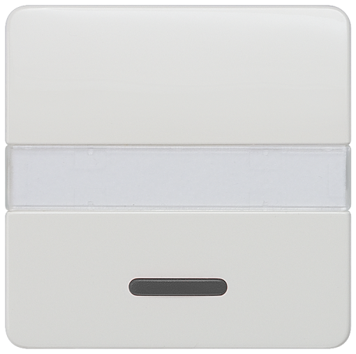 DELTA profil rocker with window and labeling field titanium white