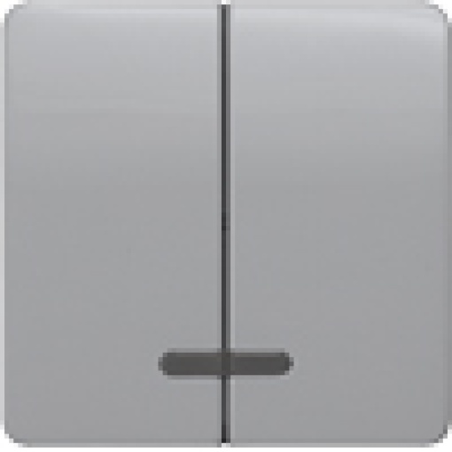 DELTA profil rocker double with window for twocircuit switch silver