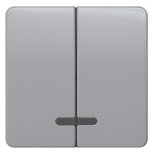 DELTA profil rocker double with window for twocircuit switch silver