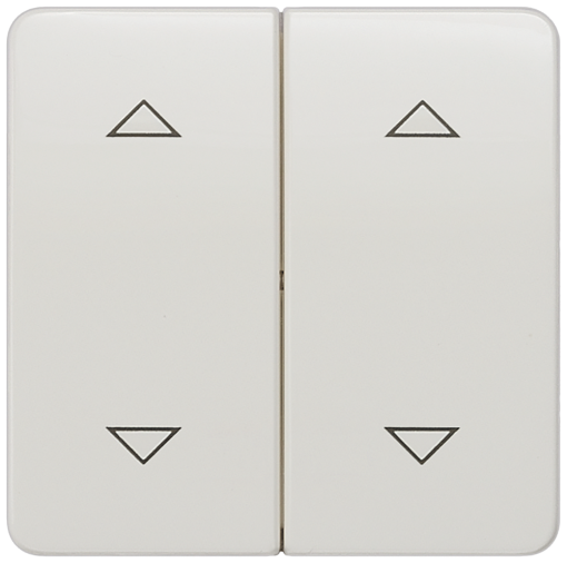 DELTA profil rocker with shutterblind symbols for pushbutton double center