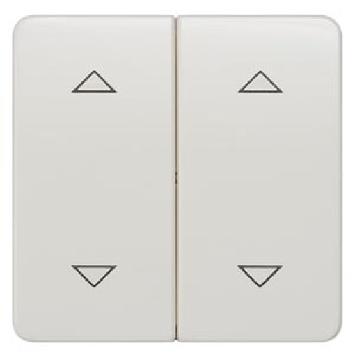 DELTA profil rocker with shutterblind symbols for pushbutton double center
