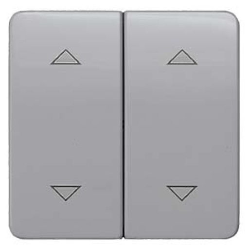DELTA profil rocker with shutterblind symbols for pushbutton double center