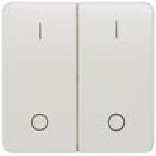 DELTA profil rocker with IO symbols for pushbutton double center position