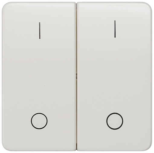 DELTA profil rocker with IO symbols for pushbutton double center position
