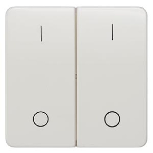 DELTA profil rocker with IO symbols for pushbutton double center position