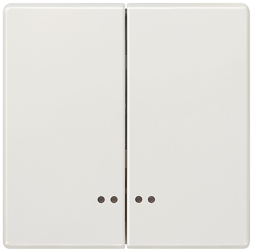 DELTA style rocker double with window for twocircuit switch titanium white