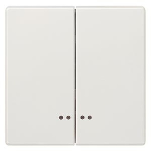 DELTA style rocker double with window for twocircuit switch titanium white