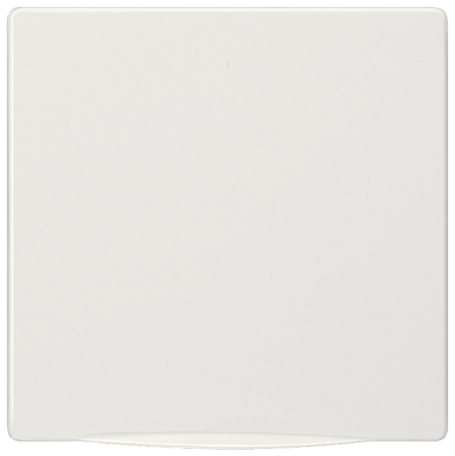 DELTA style cover plate with hinged lid for modification of socket outlets t